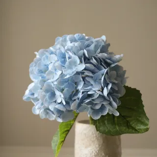 Blomst Hortensia
