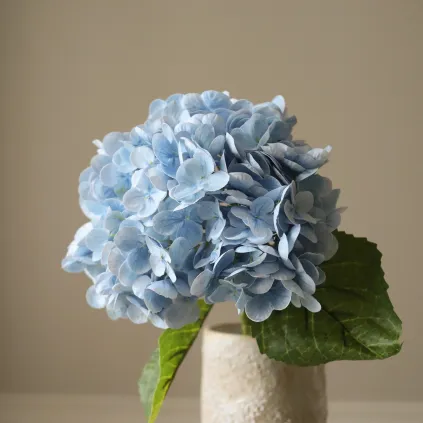 Blomst Hortensia