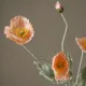 Blomst Poppy - Botané Studio - Albert Vold Interiør AS