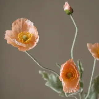 Blomst Poppy - Botané Studio - Albert Vold Interiør AS