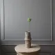 Blomst Scabiosa - Botané Studio - Albert Vold Interiør AS