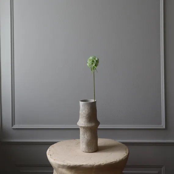 Blomst Scabiosa - Botané Studio - Albert Vold Interiør AS