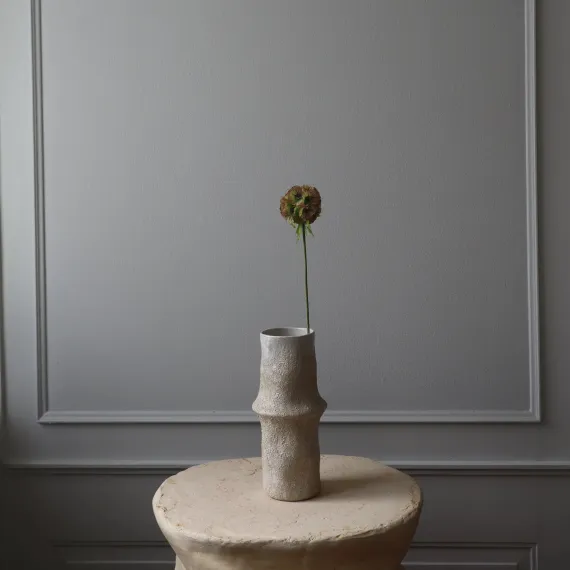 Blomst Scabiosa - Botané Studio - Albert Vold Interiør AS