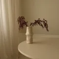 Blomst Amaranthus Cruentus Mørk Rød