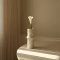 Blomst Calla Lily