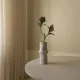 Blomst Skimmia Berry - Botané Studio - Albert Vold Interiør AS