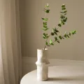 Blad Eucalyptus Green