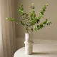 Blad Eucalyptus Green - Botané Studio - Albert Vold Interiør AS