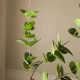 Blad Eucalyptus Green - Botané Studio - Albert Vold Interiør AS