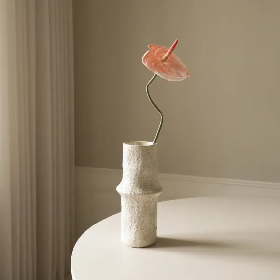 Blomst Anthurium- Botané Studio - Albert Vold Interiør AS