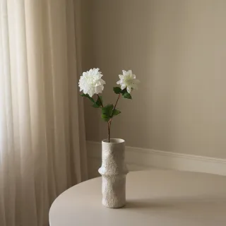 Blomst Dahlia Hvit