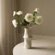 Blomst Dahlia Hvit