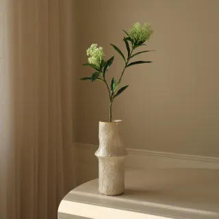 Blomst Skimmia Berry- Botané Studio - Albert Vold Interiør AS