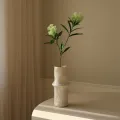 Blomst Skimmia Berry Lys Grønn