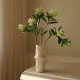Blomst Skimmia Berry- Botané Studio - Albert Vold Interiør AS