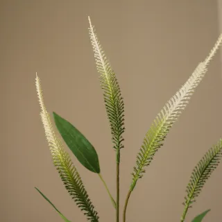 Blomst Amaranthus mini- Botané Studio - Albert Vold Interiør AS