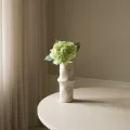 Blad Hydrangea Grønn