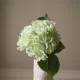 Hydrangea lys grønn - Botané Studio - Albert Vold Interiør AS
