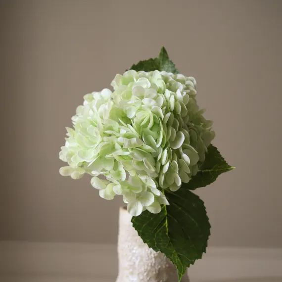 Hydrangea lys grønn - Botané Studio - Albert Vold Interiør AS