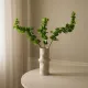 Blad bells of Ireland- Botané Studio - Albert Vold Interiør AS