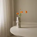 Blomst Poppy Oransje