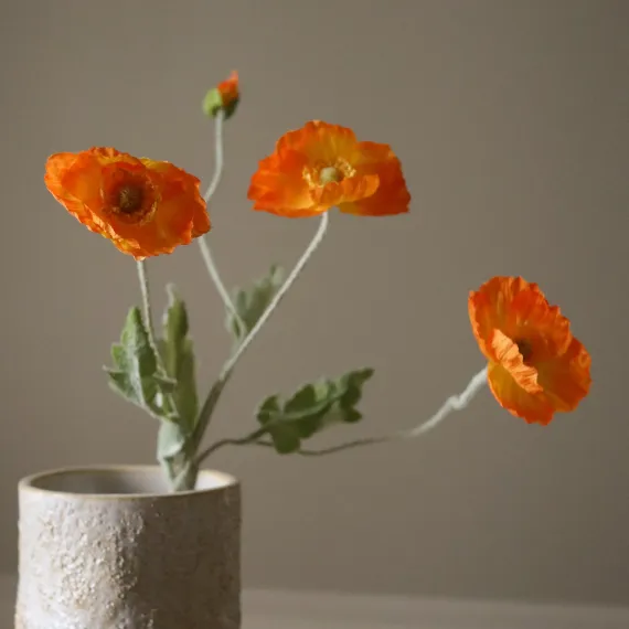 Blomst Poppy Oransje- Botané Studio - Albert Vold Interiør AS