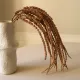 Blomst Amaranthus lysebrun- Botané Studio - Albert Vold Interiør AS