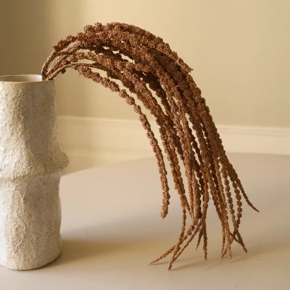 Blomst Amaranthus lysebrun- Botané Studio - Albert Vold Interiør AS