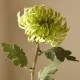 Blomst Dahlia lys grønn- Botané Studio - Albert Vold Interiør AS