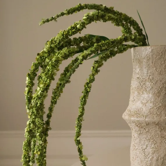 Blomst Amaranthus Grønn- Botané Studio - Albert Vold Interiør AS