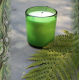 Albert Vold Interiør AS - Designers Guild - Duftlys - Woodland Fern